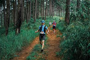 BIB: 
                            <button type="button" onclick="openModal(25696046)" class="btn btn-primary btn-sm float-right btn-popup" data-toggle="modal" data-target=".modal-high-quality">
                        <i class="fas fa-shopping-cart"></i> Add to Cart
                    </button>
                                            <button type="button" onclick="isThisMe(25696046, true)" class="btn btn-success btn-sm float-right btn-popup btn-isme hidden" data-toggle="tooltip" data-placement="bottom" title="นี่คือรูปของคุณใช่ไหม คลิกที่นี่เพื่อเอาเข้าอัลบั้ม">
                        <i class="fas fa-plus"></i> Add to album
                    </button>
                    <button type="button" onclick="isThisMe(25696046, false)" class="btn btn-warning btn-sm float-right btn-popup btn-isnotme hidden">
                        <i class="fas fa-ban"></i> Remove from album
                    </button>